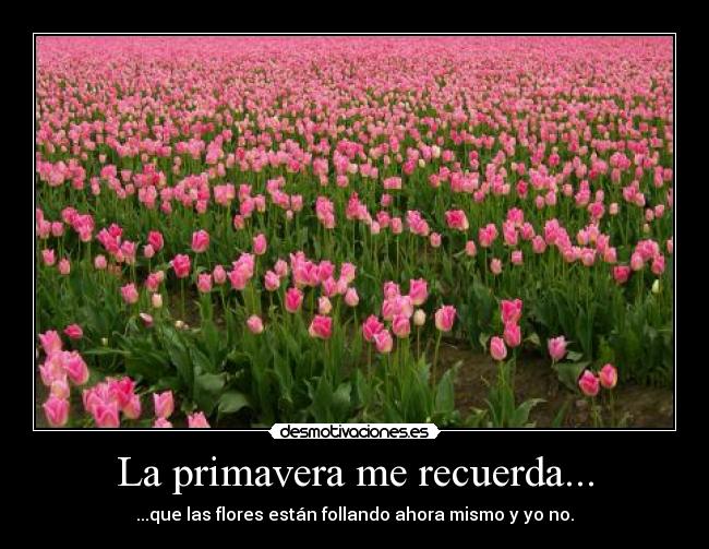 La primavera me recuerda... - 