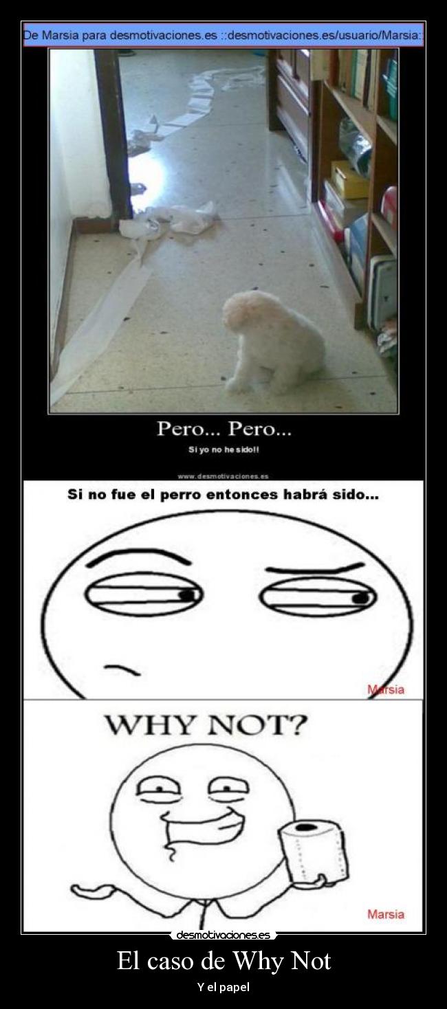 carteles why not desmotivaciones