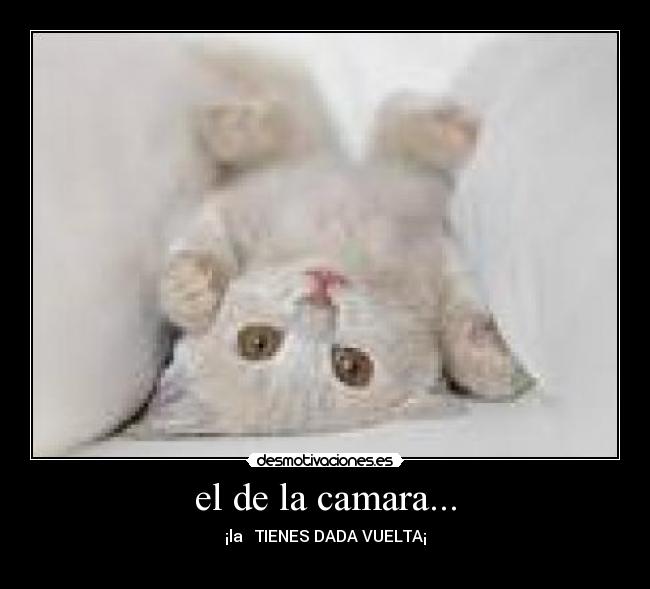 carteles jajaa desmotivaciones