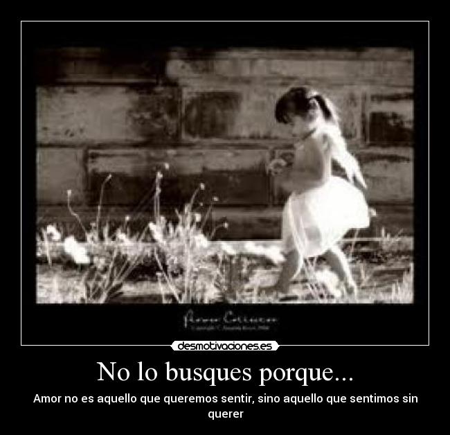 No lo busques porque... -