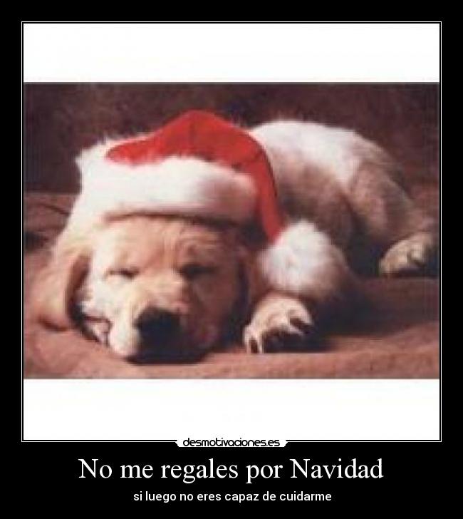 carteles navidad ninguna desmotivaciones
