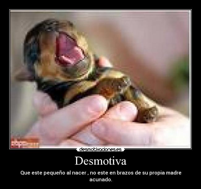 Desmotiva -