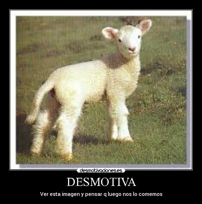 DESMOTIVA - 