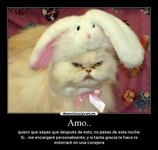 Amo.. - quiero que sepas que después de esto, no pasas de esta noche.
Si... me encargaré personalmente, y si tanta gracia te hace te
enterraré en una conejera
