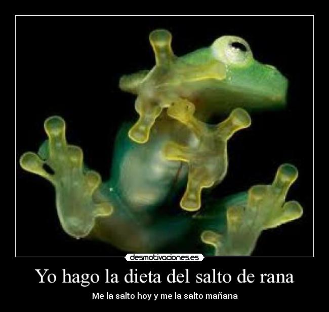 Yo hago la dieta del salto de rana - Me la salto hoy y me la salto mañana