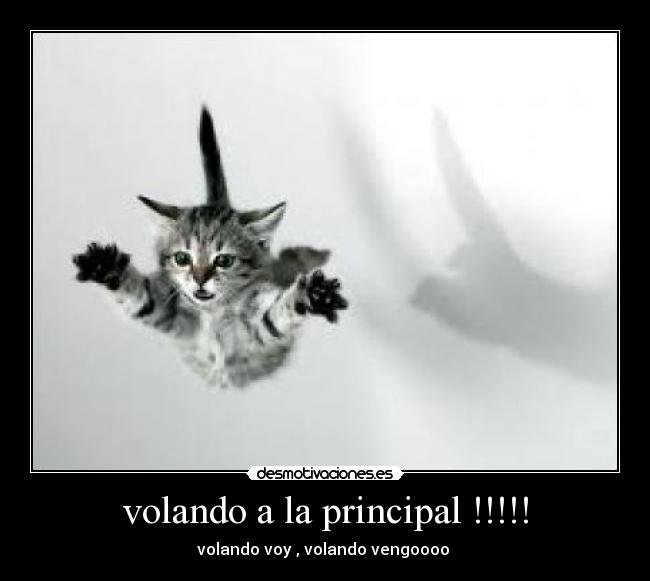 volando a la principal !!!!! -