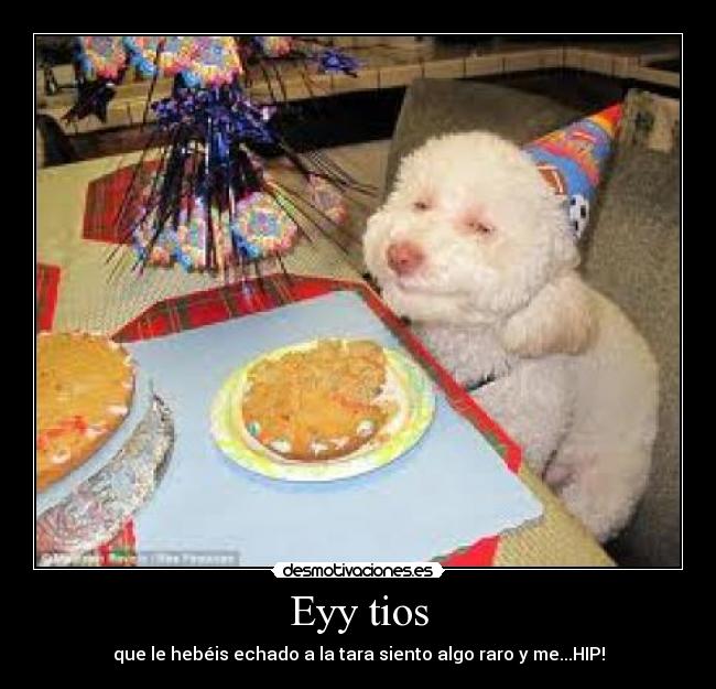 Eyy tios - que le hebéis echado a la tara siento algo raro y me...HIP!