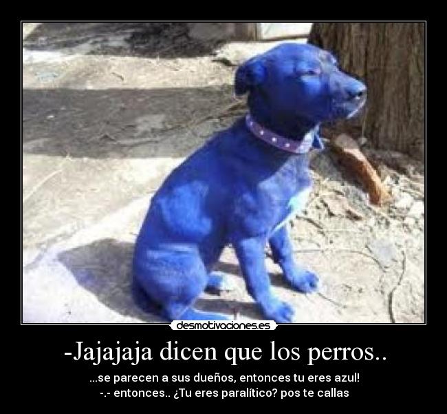 -Jajajaja dicen que los perros.. - ...se parecen a sus dueños, entonces tu eres azul!
-.- entonces.. ¿Tu eres paralítico? pos te callas