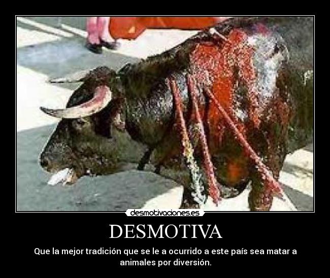 DESMOTIVA - Que la mejor tradición que se le a ocurrido a este país sea matar a
animales por diversión.