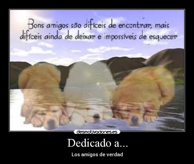 Dedicado a... - 
