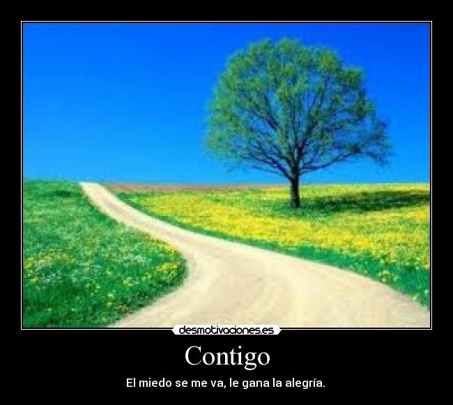 Contigo -