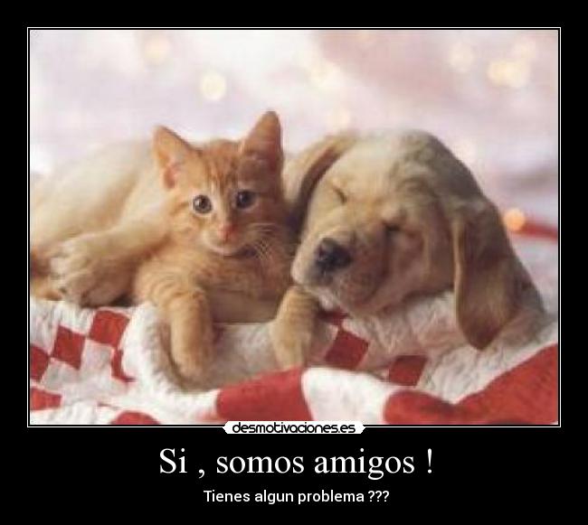 Si , somos amigos ! - Tienes algun problema ???