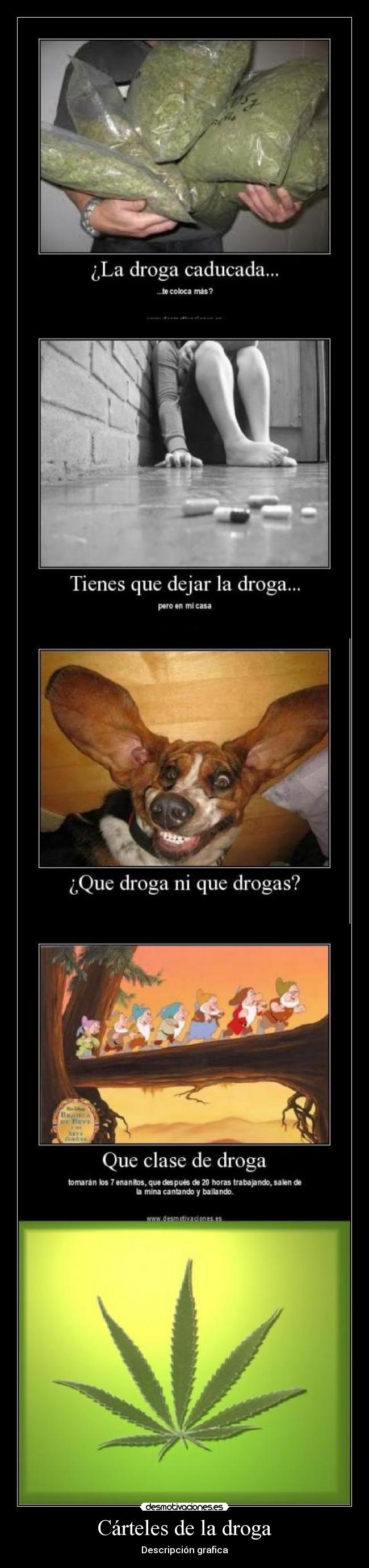 Cárteles de la droga -