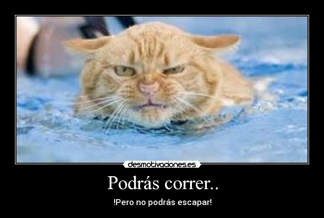 Podrás correr.. - 