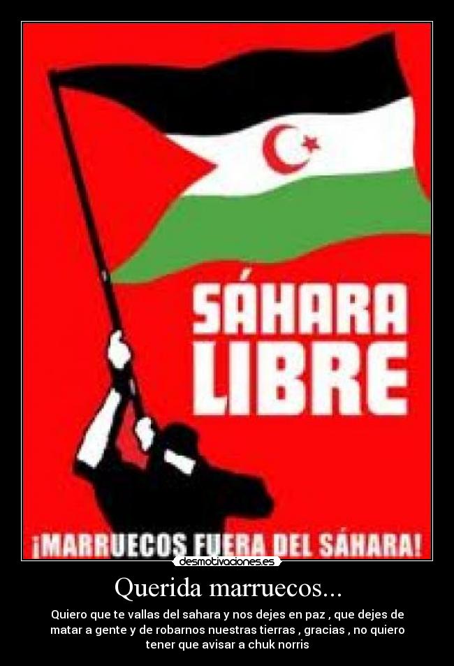 Querida marruecos... -
