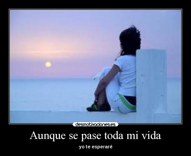 carteles vida ewyry desmotivaciones