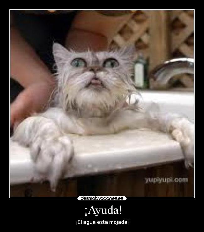 ¡Ayuda! - ¡El agua esta mojada!