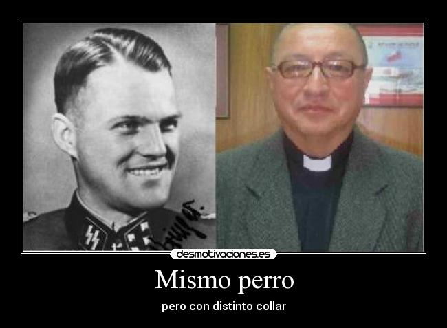 Mismo perro - pero con distinto collar