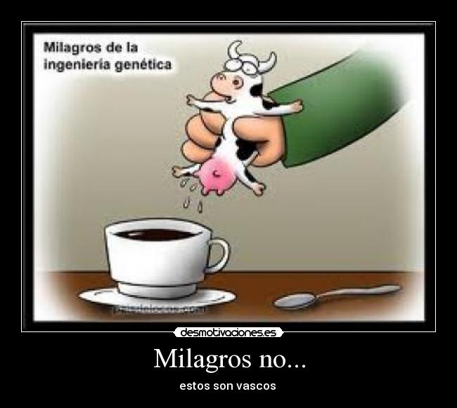 Milagros no... - 