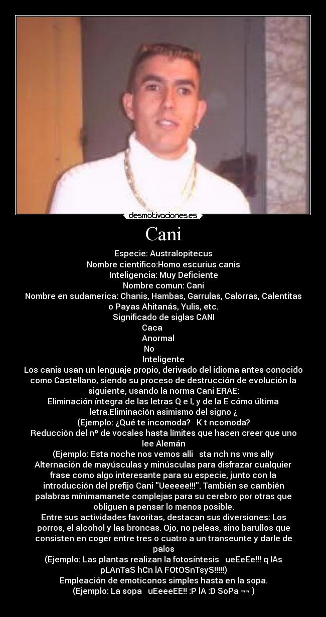 Cani - Especie: Australopitecus
Nombre cientifico:Homo escurius canis
Inteligencia: Muy Deficiente
Nombre comun: Cani
Nombre en sudamerica: Chanis, Hambas, Garrulas, Calorras, Calentitas
o Payas Ahitanás, Yulis, etc.
Significado de siglas CANI
Caca
Anormal
No
Inteligente
Los canis usan un lenguaje propio, derivado del idioma antes conocido
como Castellano, siendo su proceso de destrucción de evolución la
siguiente, usando la norma Cani ERAE:
Eliminación íntegra de las letras Q e I, y de la E cómo última
letra.Eliminación asimismo del signo ¿
(Ejemplo: ¿Qué te incomoda? → K t ncomoda?
Reducción del nº de vocales hasta límites que hacen creer que uno
lee Alemán
(Ejemplo: Esta noche nos vemos alli → sta nch ns vms ally
Alternación de mayúsculas y minúsculas para disfrazar cualquier
frase como algo interesante para su especie, junto con la
introducción del prefijo Cani Ueeeee!!!. También se cambién
palabras mínimamanete complejas para su cerebro por otras que
obliguen a pensar lo menos posible.
Entre sus actividades favoritas, destacan sus diversiones: Los
porros, el alcohol y las broncas. Ojo, no peleas, sino barullos que
consisten en coger entre tres o cuatro a un transeunte y darle de
palos
(Ejemplo: Las plantas realizan la fotosíntesis → ueEeEe!!! q lAs
pLAnTaS hCn lA FOtOSnTsyS!!!!!)
Empleación de emoticonos simples hasta en la sopa.
(Ejemplo: La sopa → uEeeeEE!! :P lA :D SoPa ¬¬ )