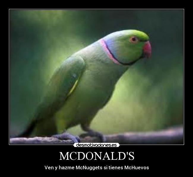 MCDONALDS -