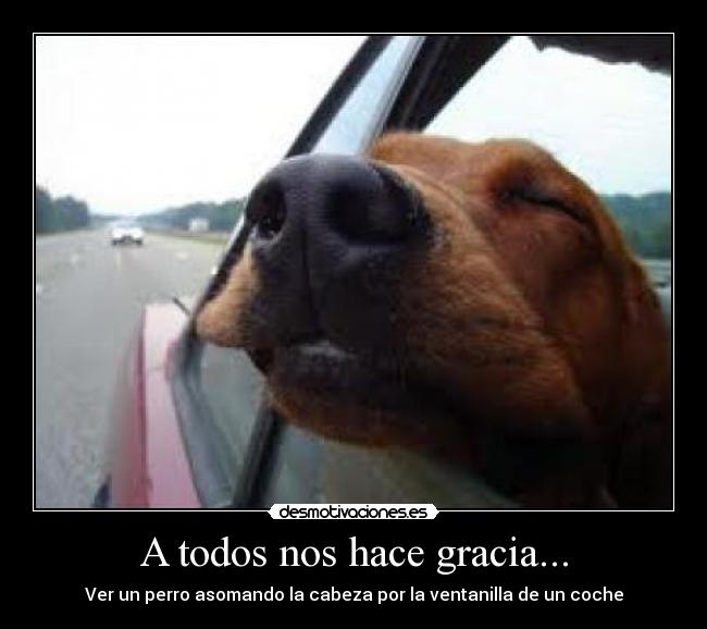 A todos nos hace gracia... -