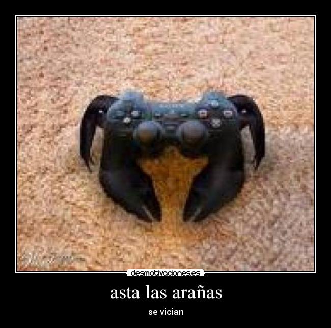 asta las arañas -