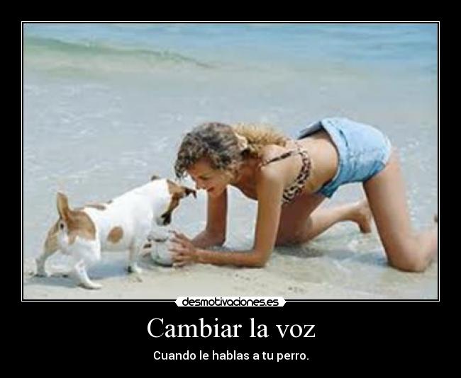 Cambiar la voz - Cuando le hablas a tu perro.