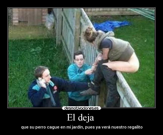 El deja - que su perro cague en mi jardín, pues ya verá nuestro regalito