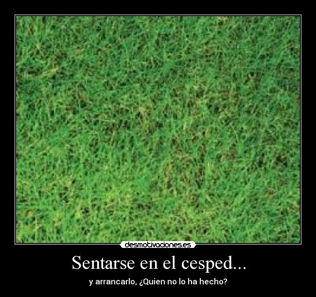 Sentarse en el cesped... - y arrancarlo, ¿Quien no lo ha hecho?