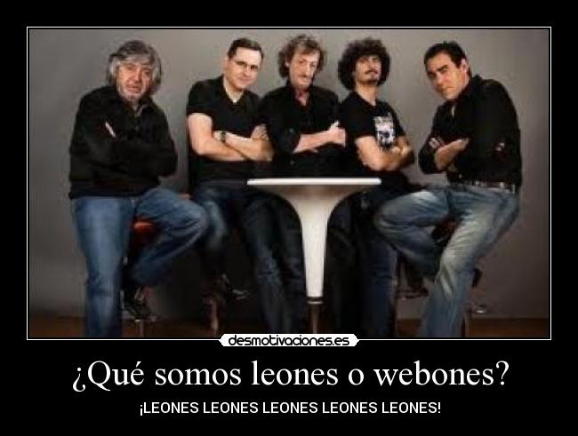 ¿Qué somos leones o webones? - 