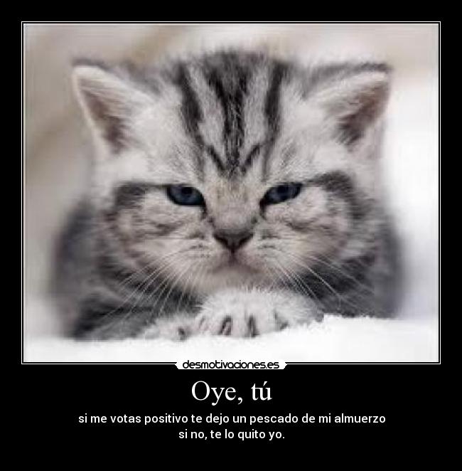 Oye, tú - si me votas positivo te dejo un pescado de mi almuerzo
si no, te lo quito yo.
