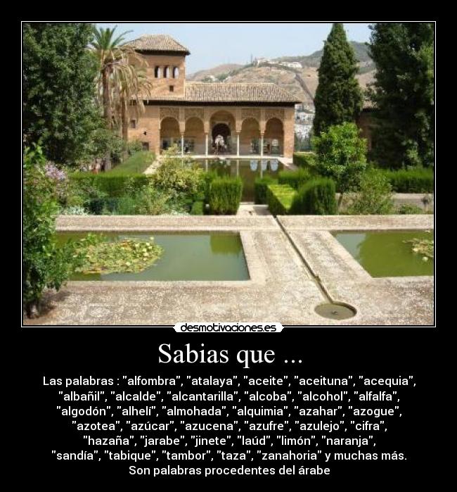 Sabias que ... -