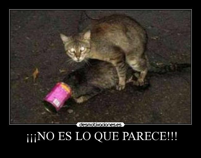 ¡¡¡NO ES LO QUE PARECE!!! - 