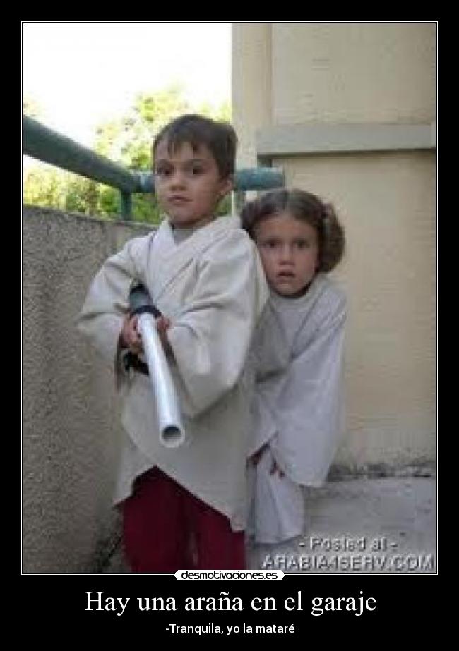 Hay una araña en el garaje - 