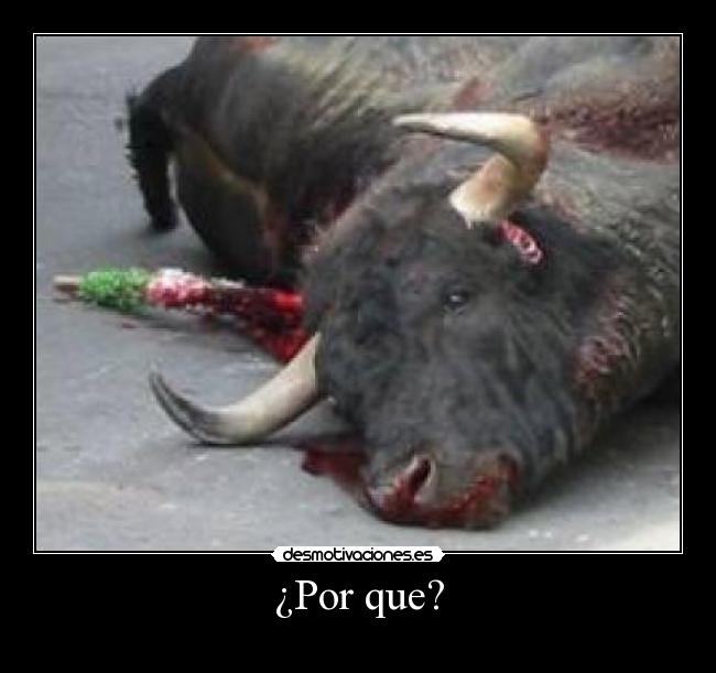 ¿Por que? - 