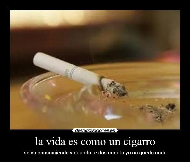 la vida es como un cigarro - se va consumiendo y cuando te das cuenta ya no queda nada