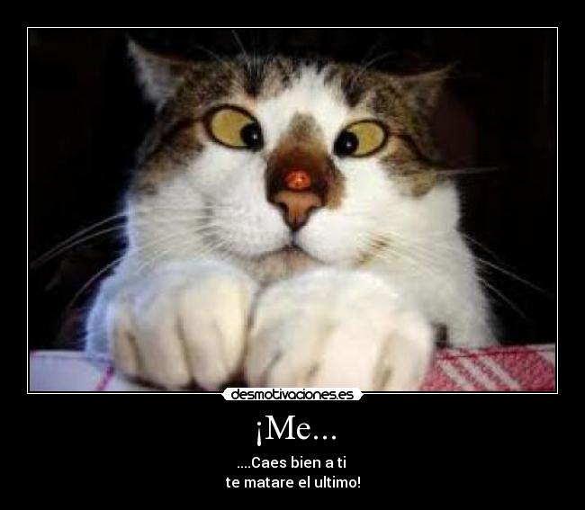 ¡Me... - ....Caes bien a ti
te matare el ultimo!