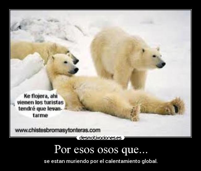 Por esos osos que... -