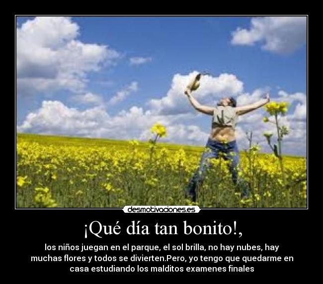 ¡Qué día tan bonito!, - 