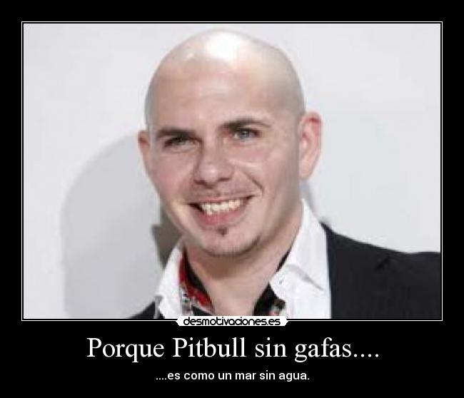 Porque Pitbull sin gafas.... - 
