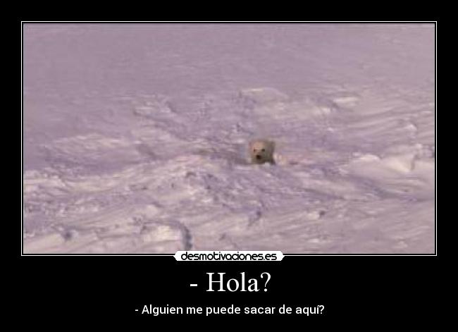 - Hola? -