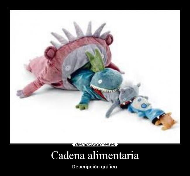 Cadena alimentaria -