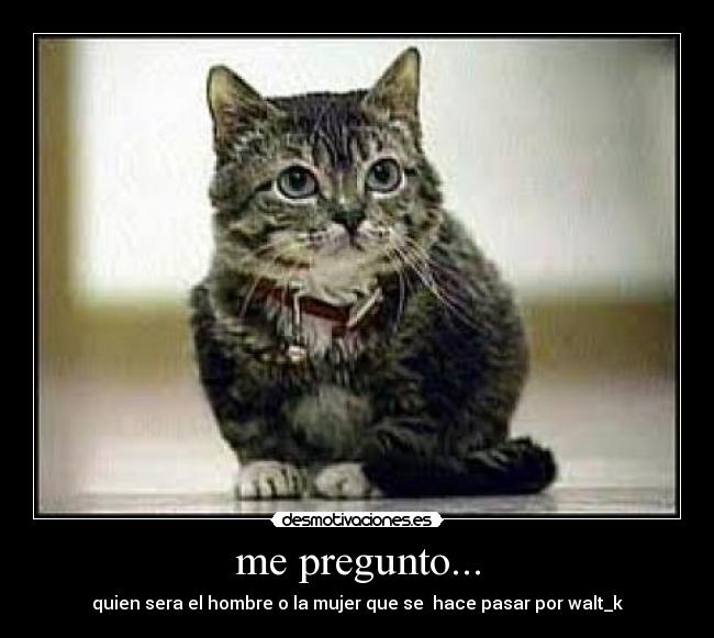 me pregunto... - 