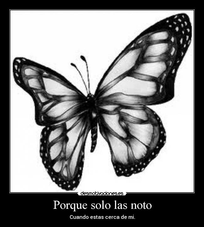 Porque solo las noto -