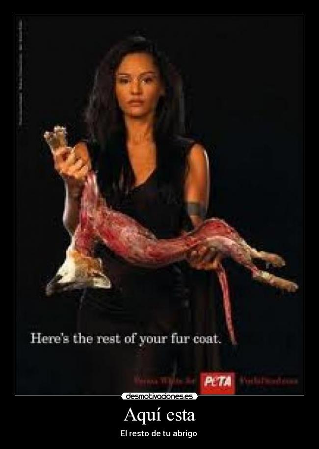 Aquí esta - El resto de tu abrigo 