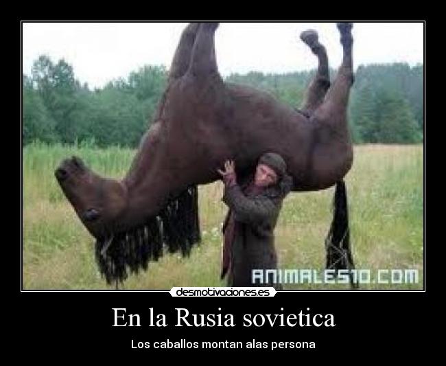 En la Rusia sovietica - Los caballos montan alas persona