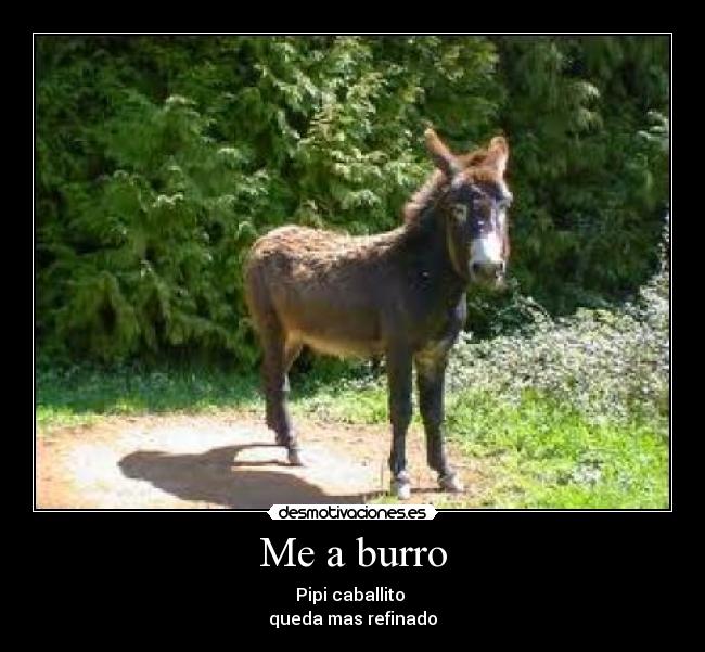 carteles burro caballo desmotivaciones