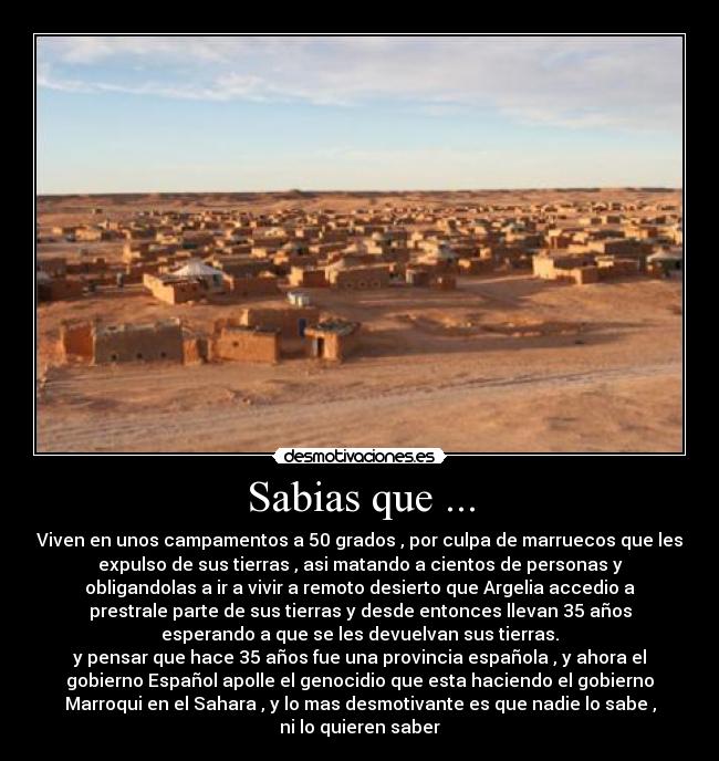 Sabias que ... -