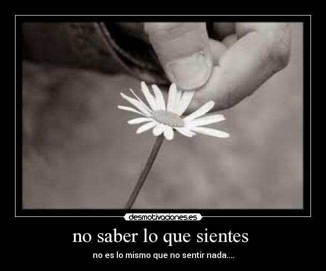 no saber lo que sientes - no es lo mismo que no sentir nada....